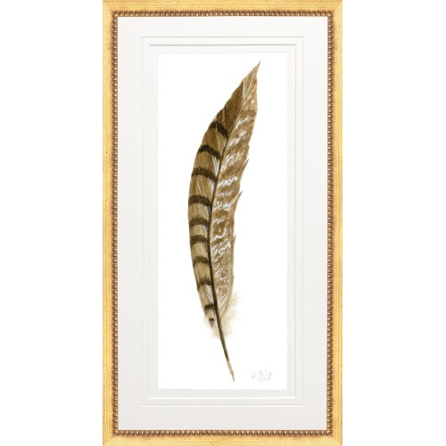 KS- PHEASANT FEATHER 5